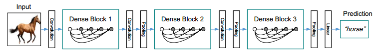 DenseNet